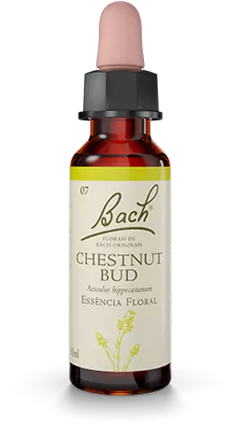 Imagem de Floral de Bach Original Chestnut Bud 20ml  Bach